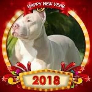 Meet your Posher, Larry